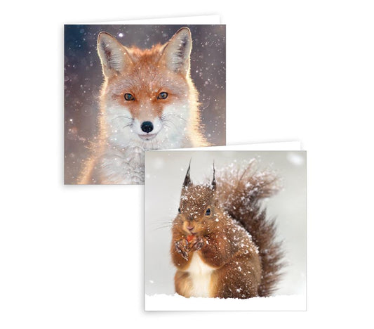 Pack of 10 Squirrel and Fox Design Square Christmas Cards