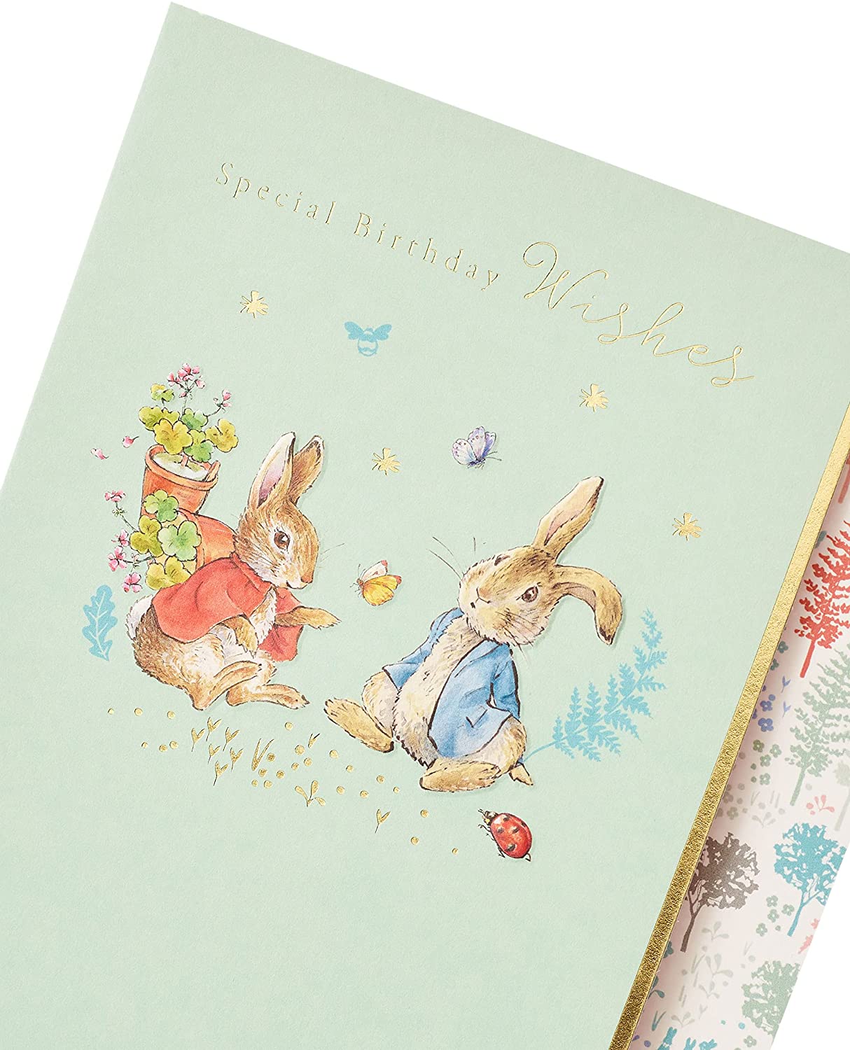 Peter Rabbit Special Wishes Kids Birthday Card
