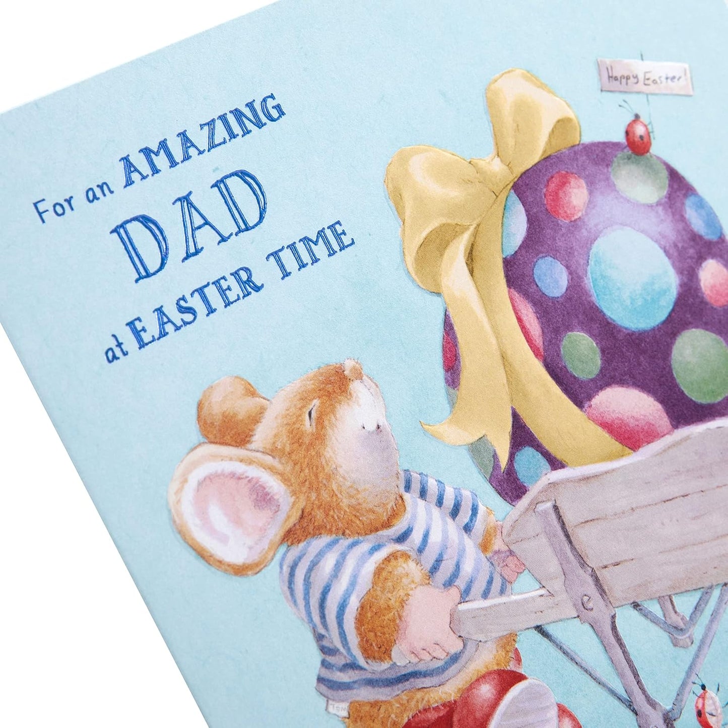 Cute Country Companions Design Dad Easter Card