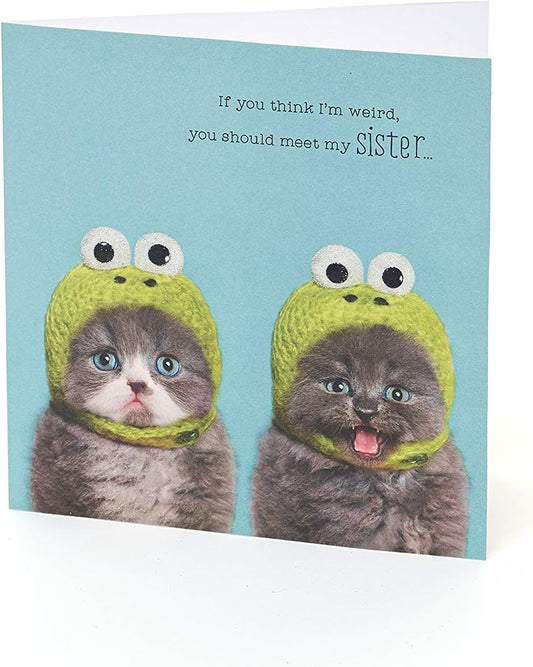 Funny Cat Sister Birthday Card