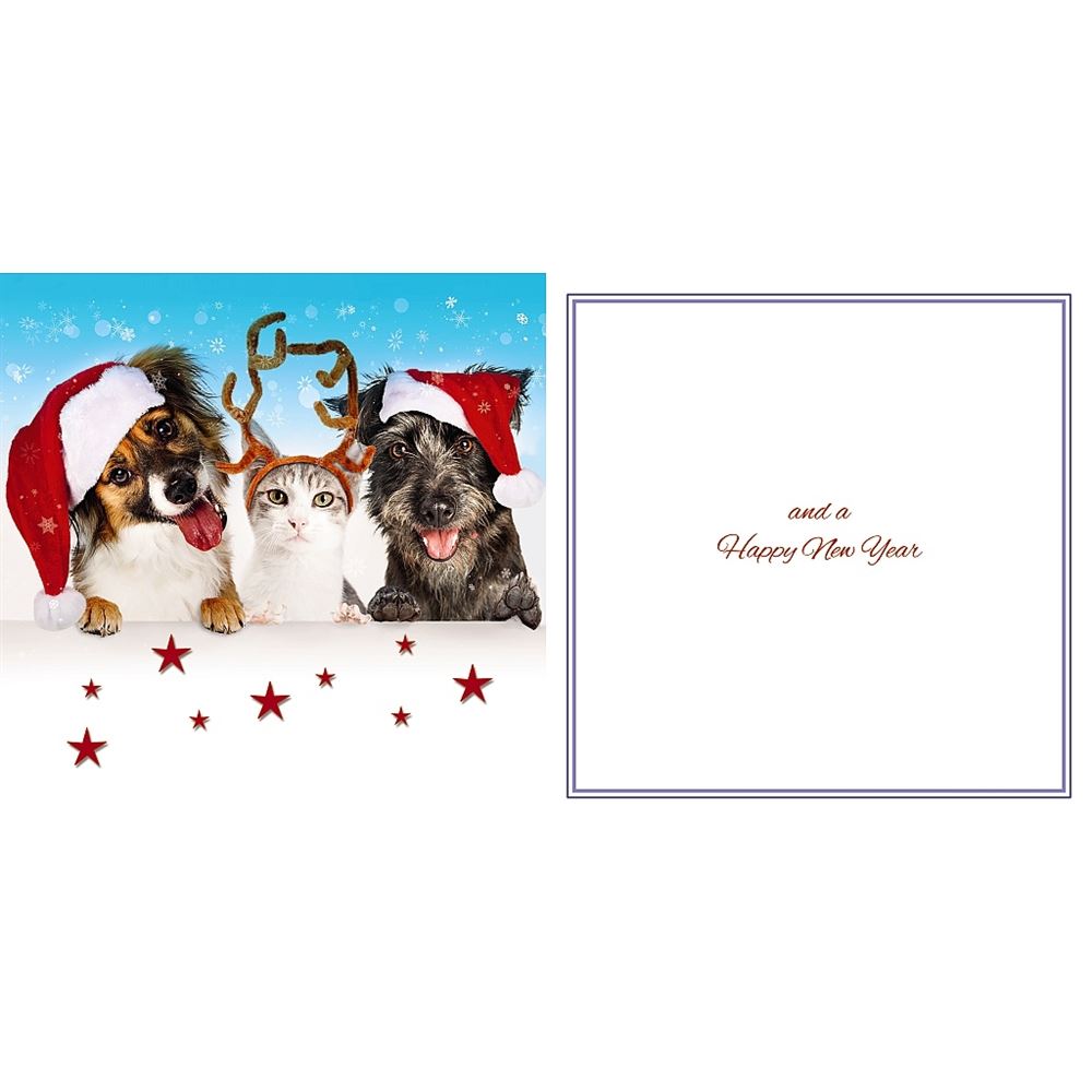 Dogs & Cat Photographic 3D Lenticular Detachable Keepsake Christmas Card