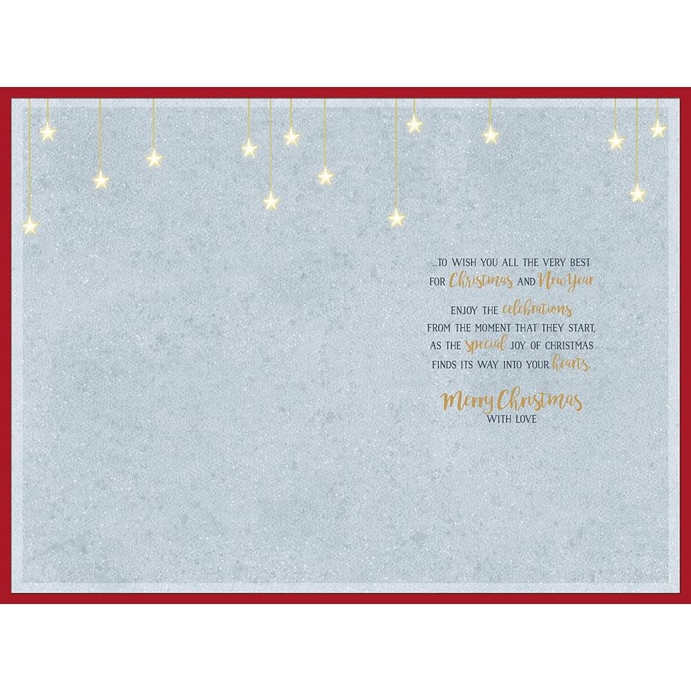 Penguins Stood on Moon Special Couple Christmas Card