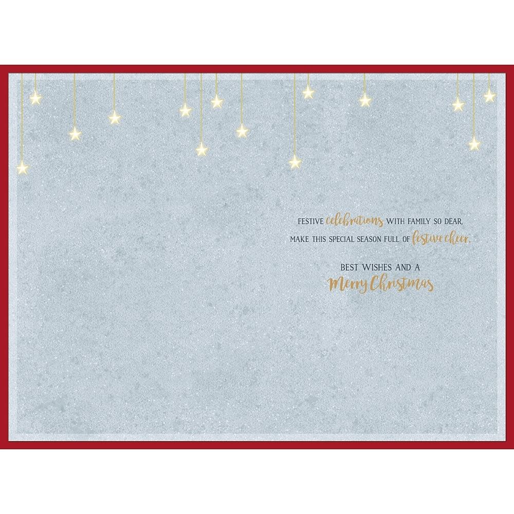 Penguins Stood on Moon Special Family Christmas Card