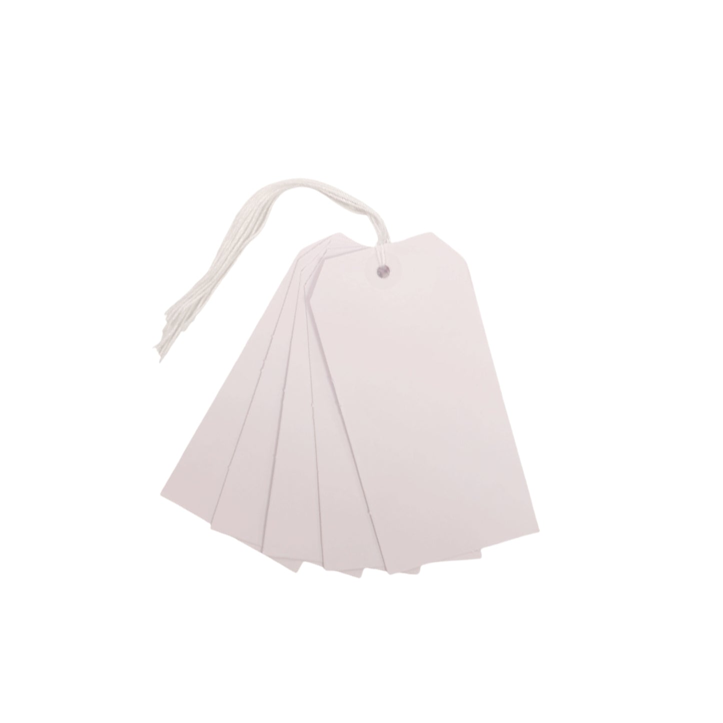 Pack of 20 White Strung Tags 60 x 120mm