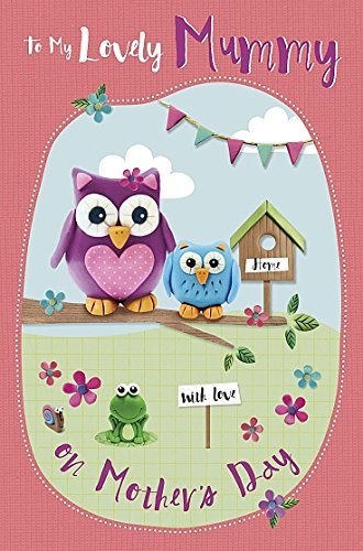 To My Lovely Mummy Owl Design Mother's Day Card