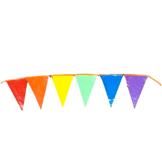 Multi Colour Bunting with Orange String 10m with 20 Pennants