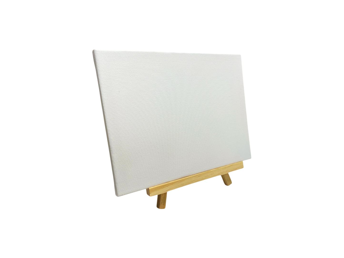 Pack of 48 20x25cm Canvas Easel Set