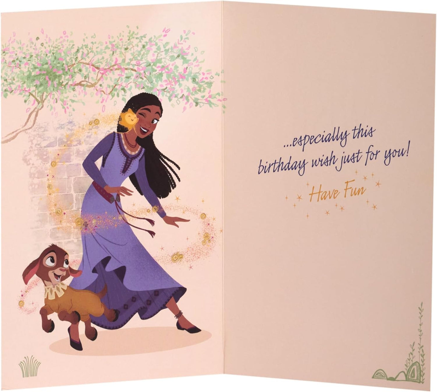 Disney Wish Asha Design Birthday Card