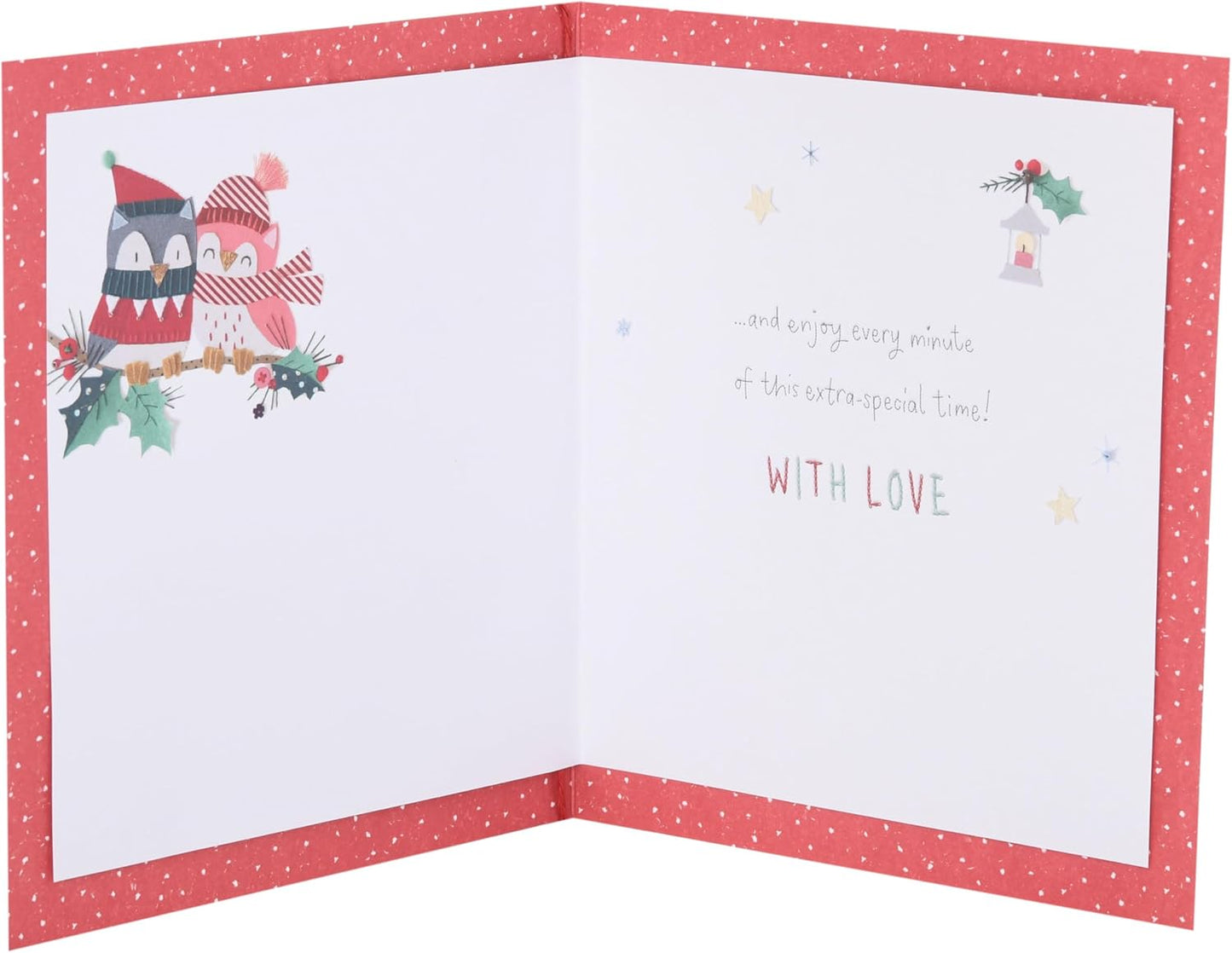 Owls Sitting on a Branch Both of You Christmas Card