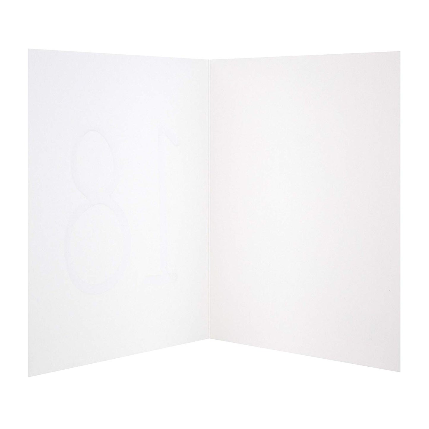 18th Birthday Studio Card "Blank"