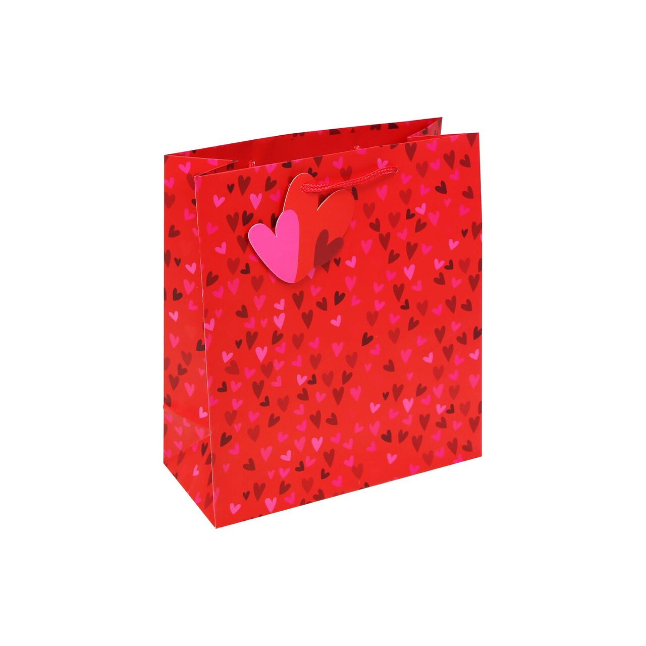 Mini Hearts Medium Valentine's Gift Bag