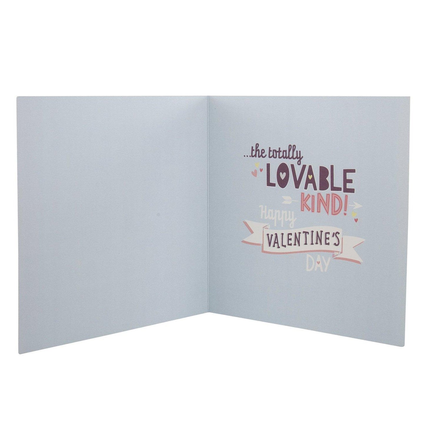 Hallmark Valentine's Day Card For Boyfriend 'One Of A Kind'