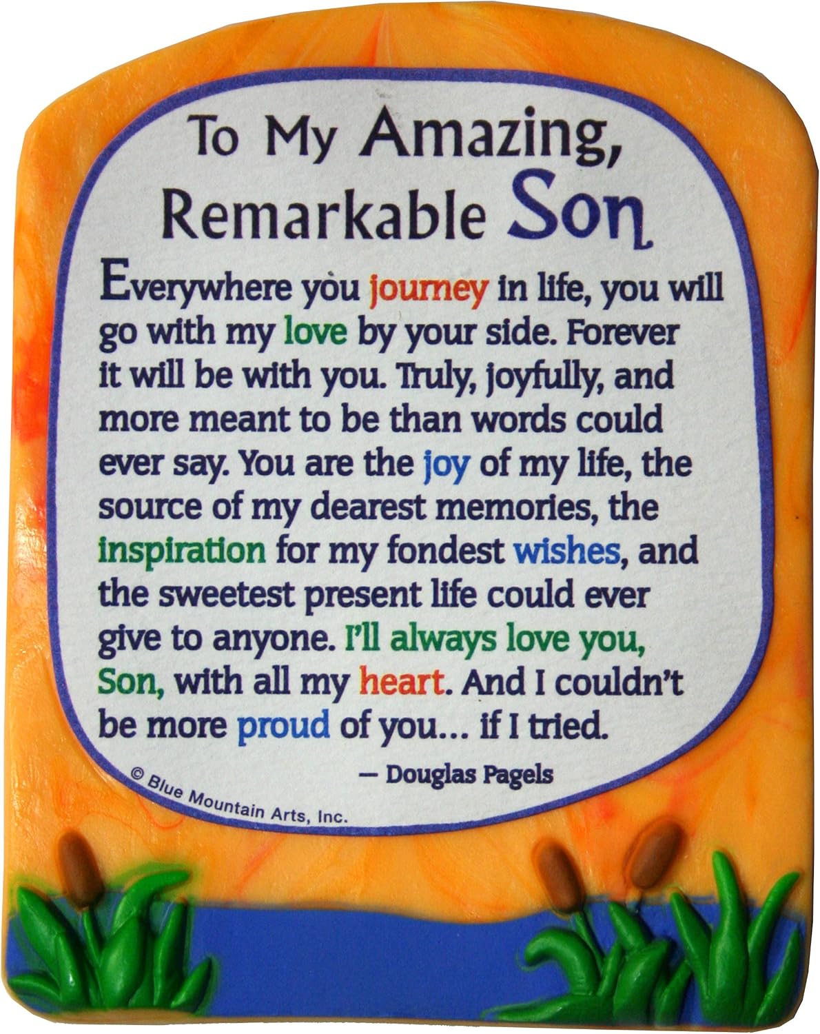 Sculpted Magnet To My Amazing Remarkable Son For Birthday, Christmas