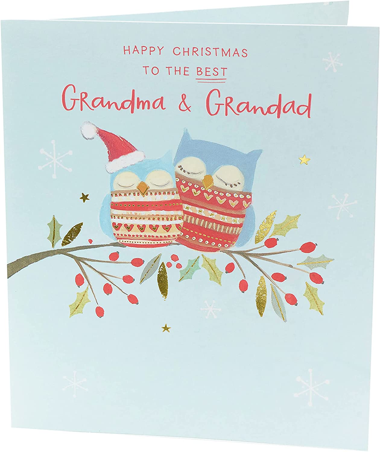 Grandma and Grandad Christmas Card Owls Design