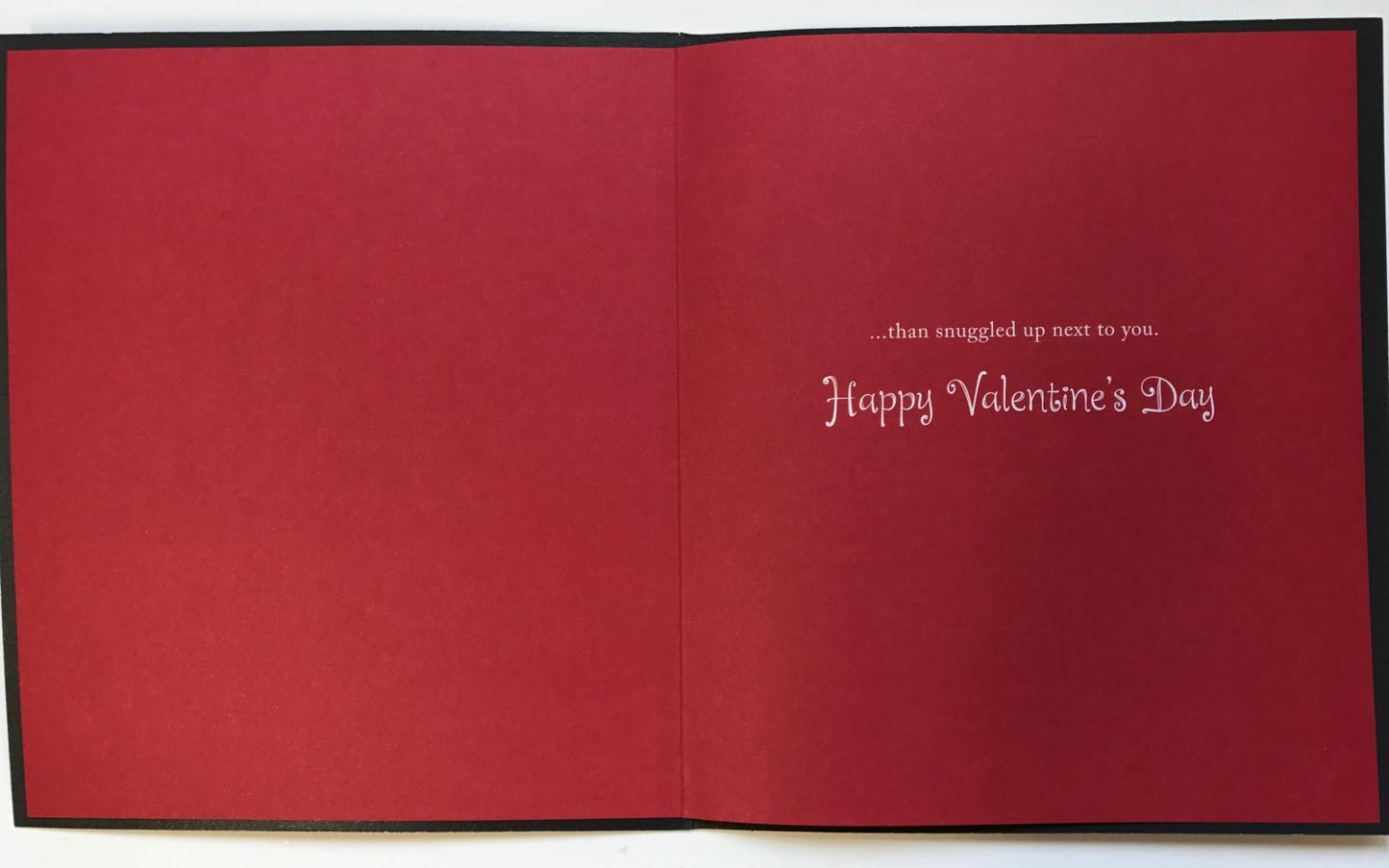 For My Lovely Boyfriend Cat & Puppy Valentine's Day Card