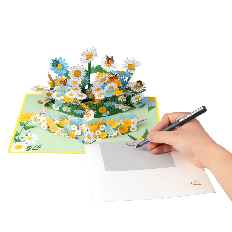 Daisy Delight 3D Floral Pop Up Greeting Card