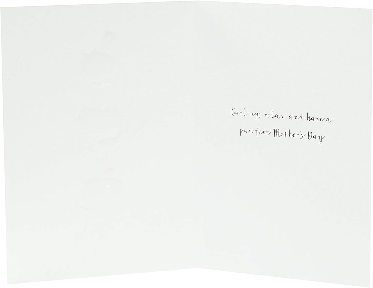 Mother's Day Card from The Cats With Envelope