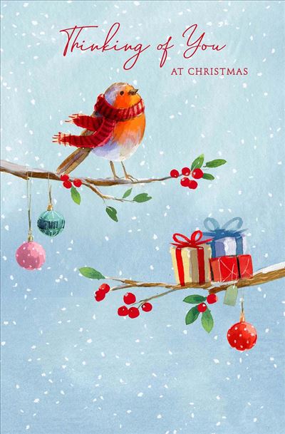 Thinking of You Lovely Bird Design Colourful Christmas Card