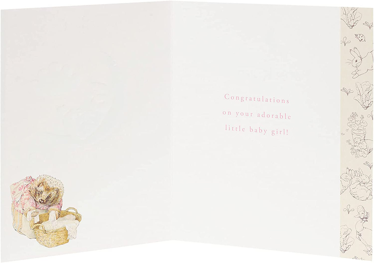 Peter Rabbit Cute New Baby Girl Congratulations Card