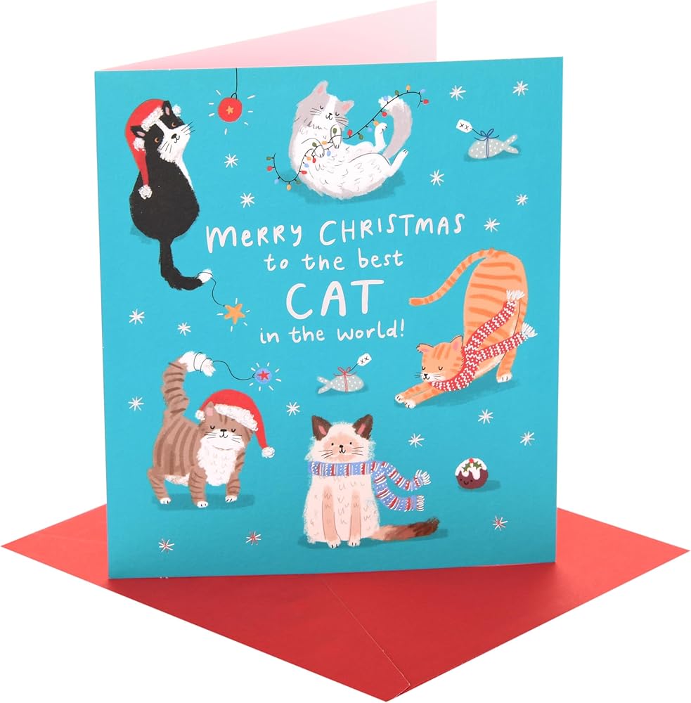 Best Cat In The World Christmas Card