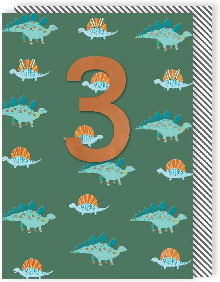 Dinosaurs Embellished Boys 3rd Birthday Card