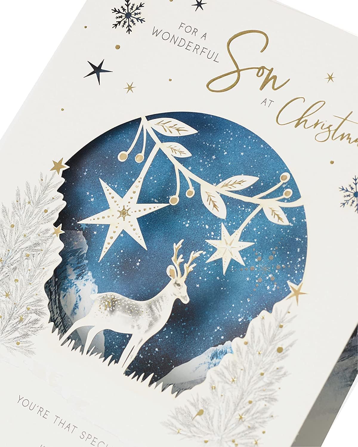 Snowy Scene Design Son Christmas Card