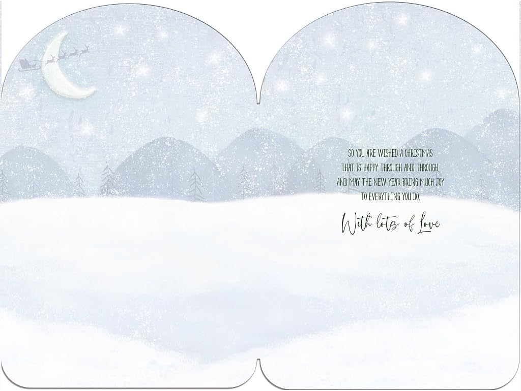 Dogs With A Snowman Granddaughter And Family Christmas Card