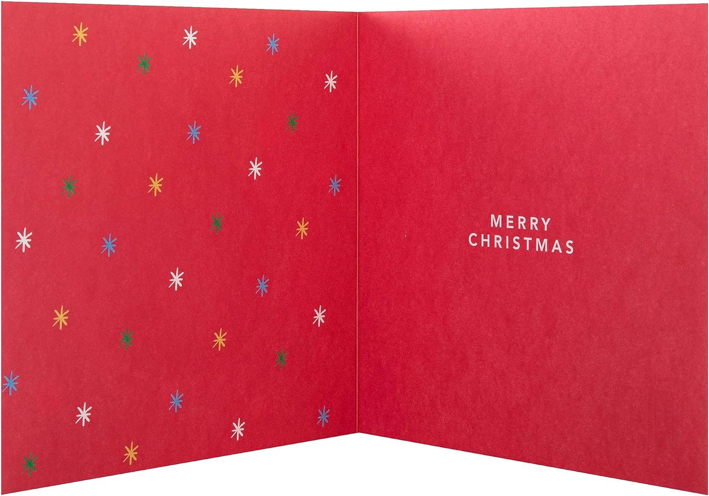 Fun Paw Print Bauble Green Design Christmas Card for Dad from the Pet