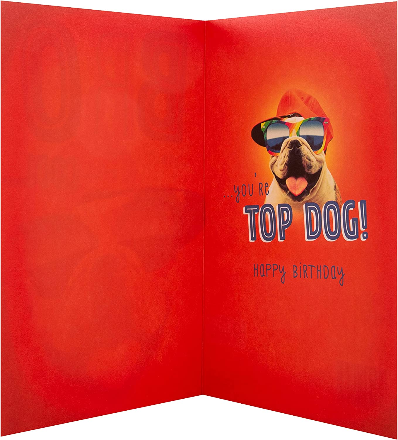 Bro Birthday Card 'Cool' Funny