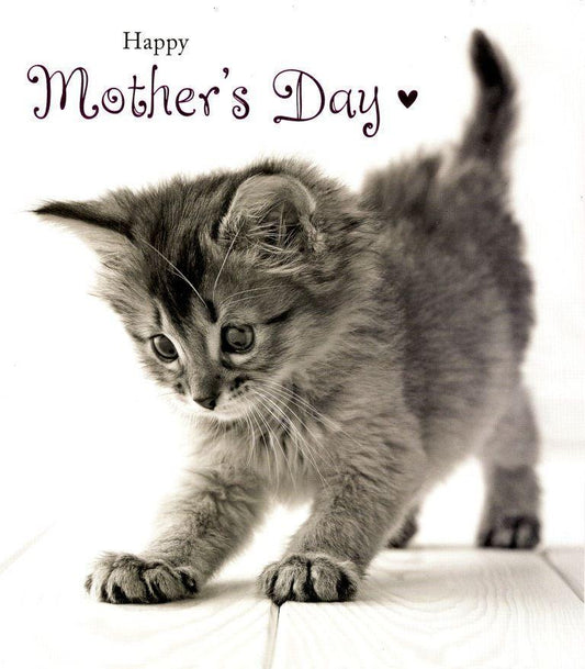 Happy Mother's Day (Talk To The Paw) Greeting Card