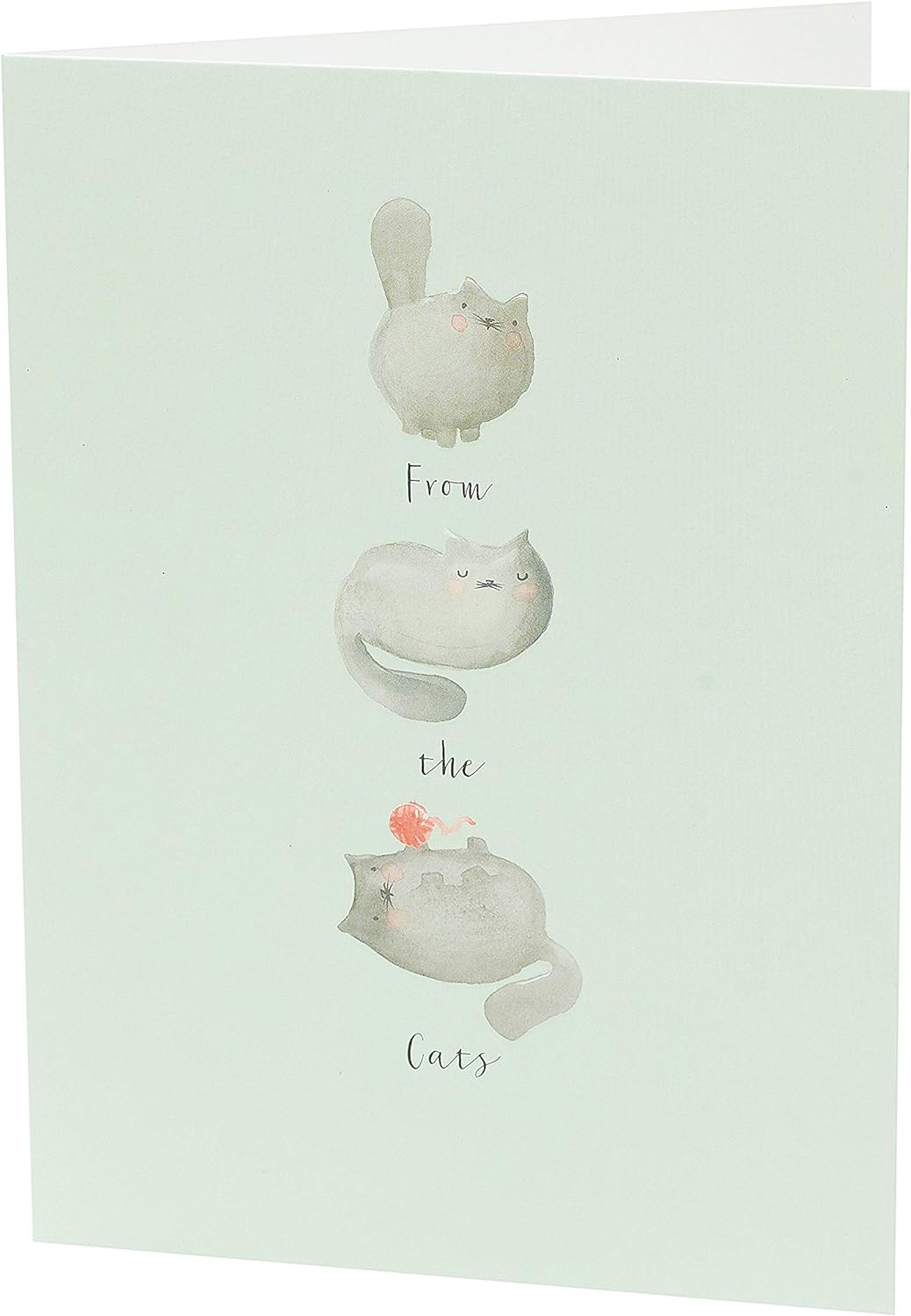 Mother's Day Card from The Cats With Envelope