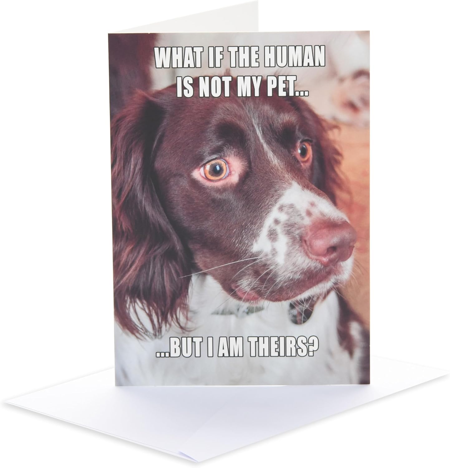 Funny Dog Design Birthday Open Blank Card
