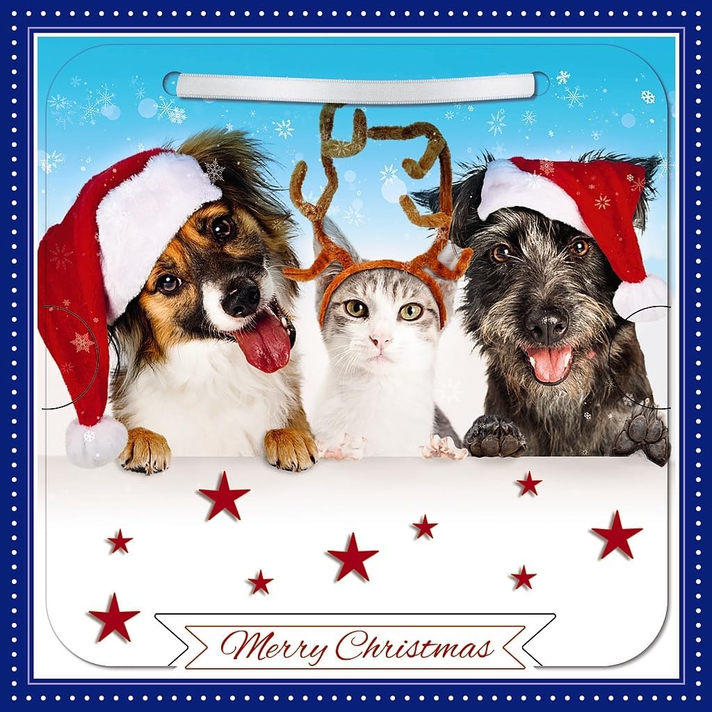 Dogs & Cat Photographic 3D Lenticular Detachable Keepsake Christmas Card