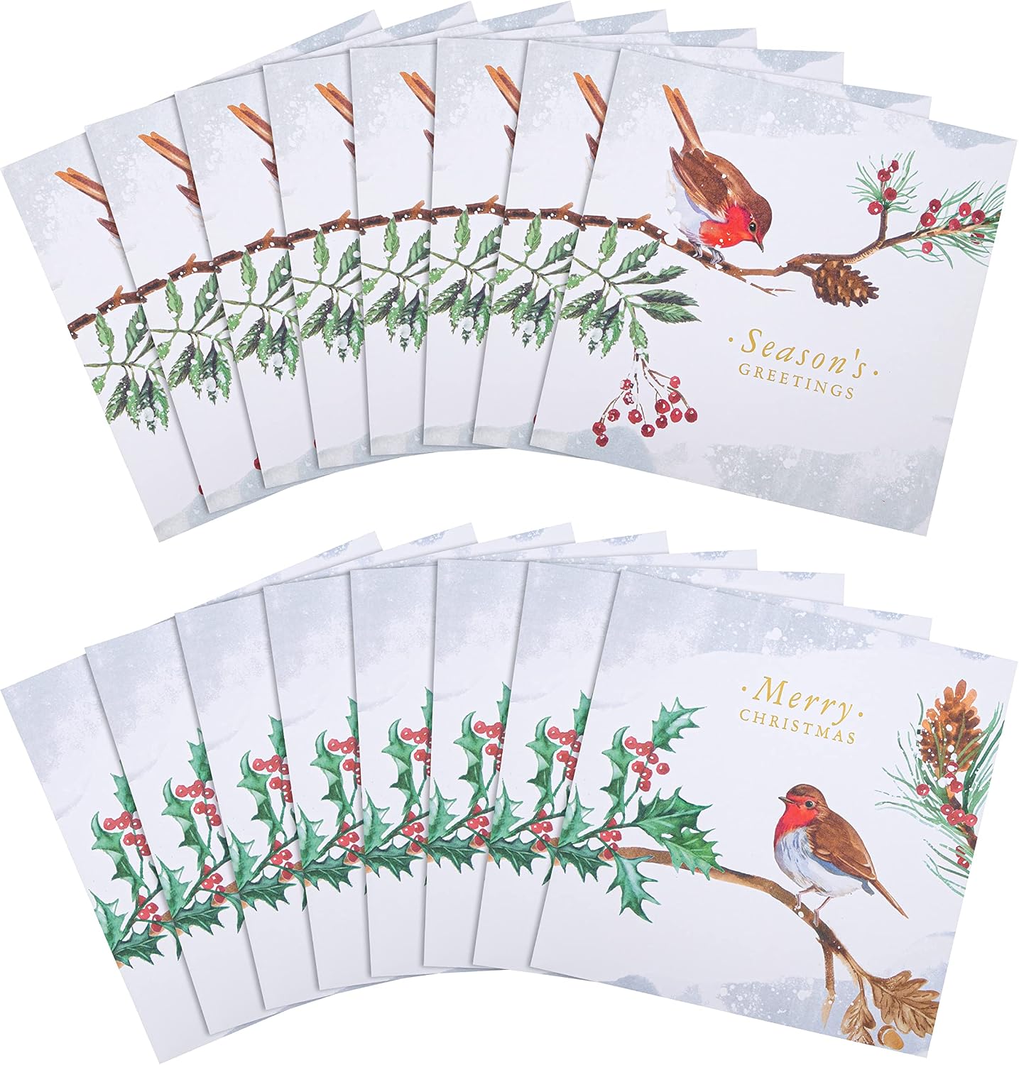 Robin 16 Pack 2 Designs Charity Christmas Cards
