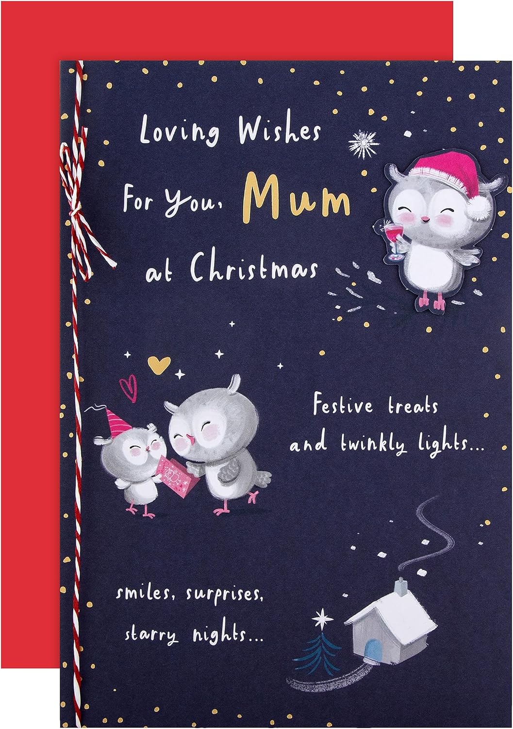 Cute Illustrated Owls Design Mum Christmas Card