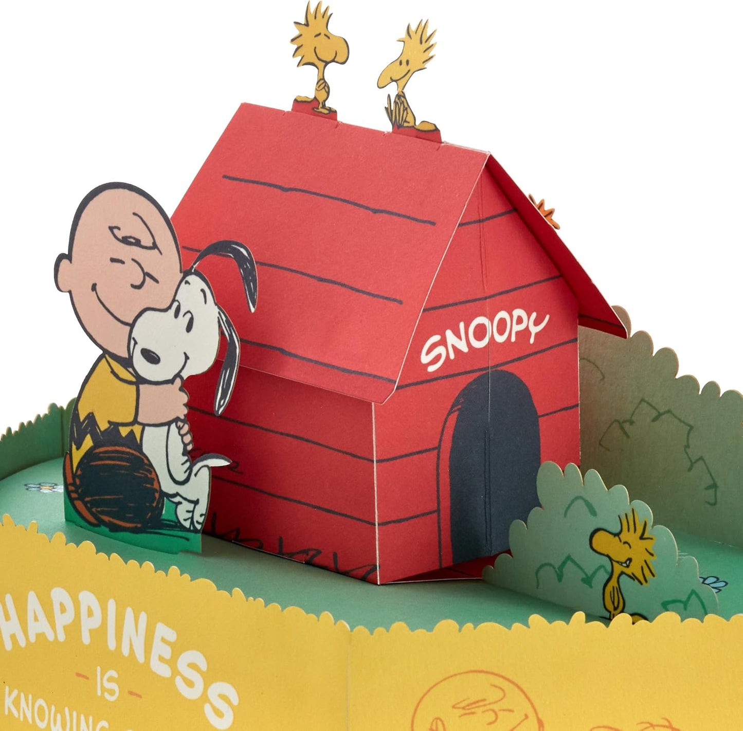 PEANUTS SNOOPY Paper Wonder Collection 3D Pop Up Birthday Card
