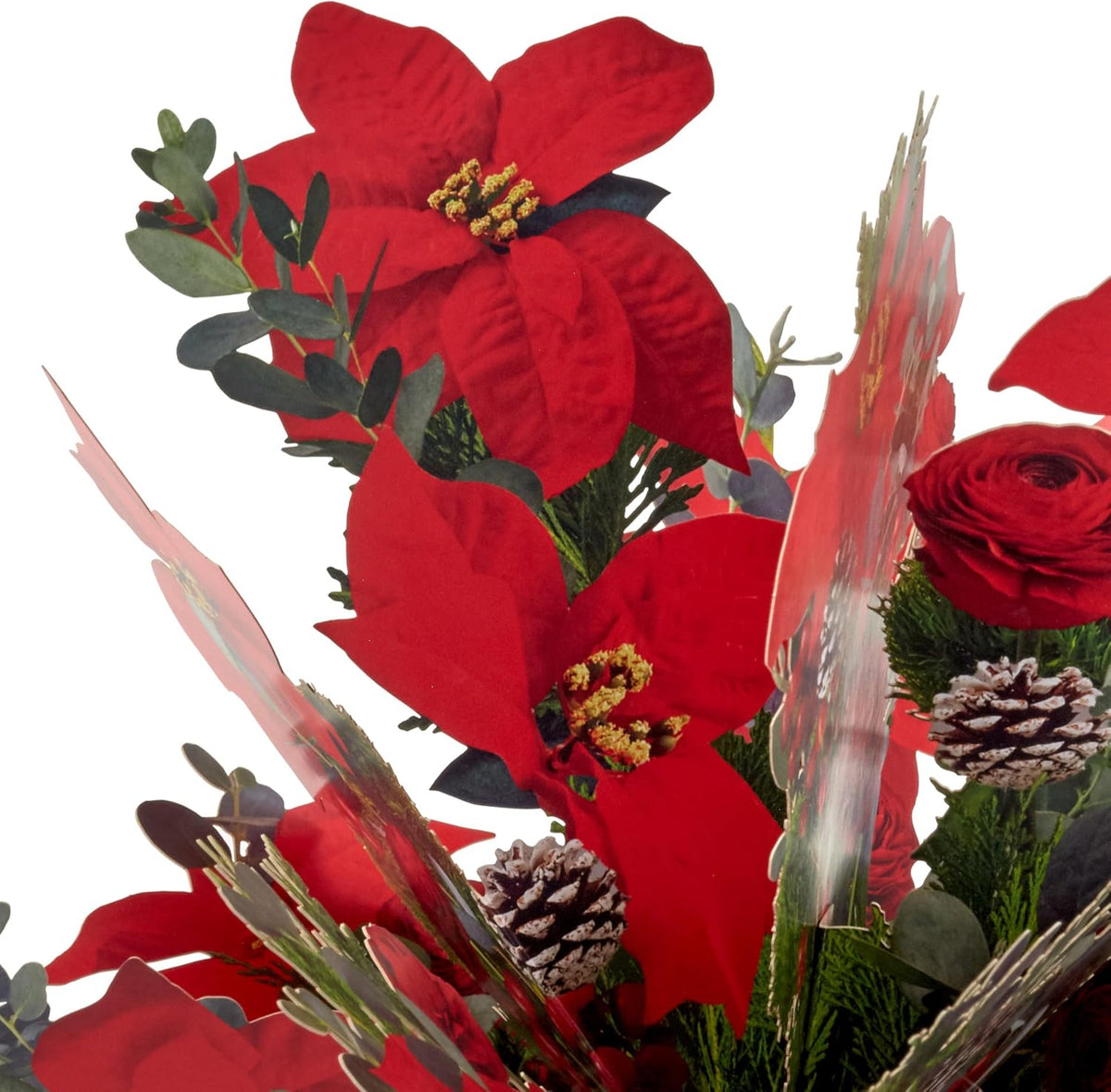 Poinsettia Bouquet Jumbo Sized 3D Pop Up Christmas Card