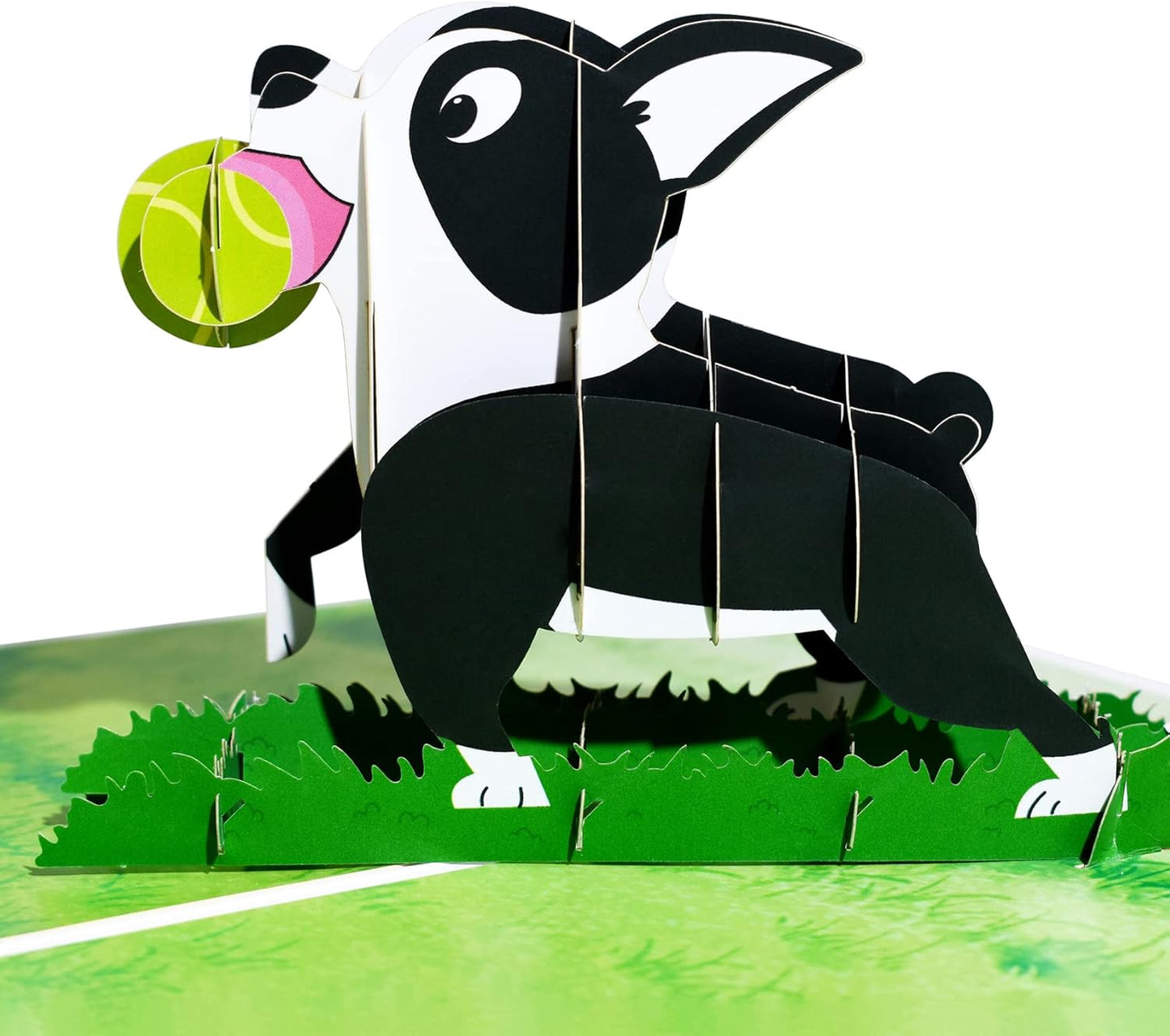 Ball and Grass Scene Boston Terrier Dog 3D Pop Up Greeting Card