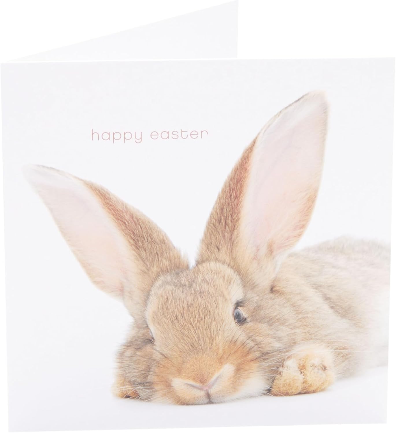 Cute Rabbit Design Easter Card