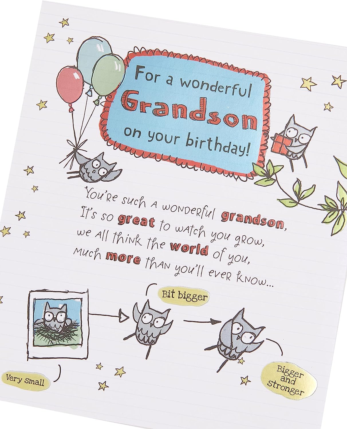 Cute Design with Owl Illustration and Sentimental Verse Grandson Birthday Card