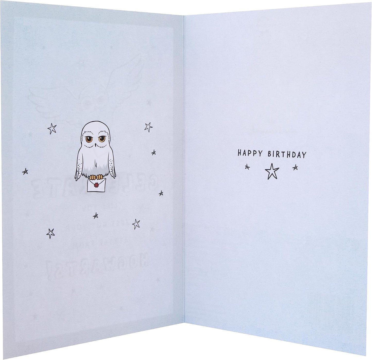 Harry Potter Hedwig Owl & Letter Design Birthday Card