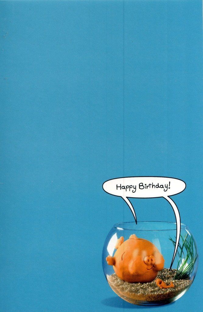 Funny Goldfish Bowl Birthday Card Humour Card Out Of The Ark