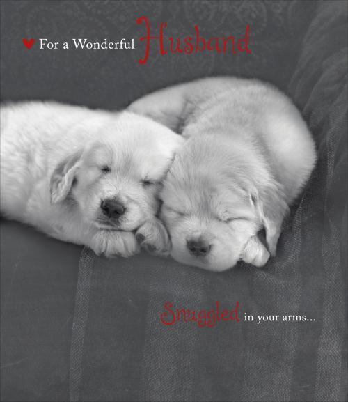 For My Wonderful Husband Cute Puppies Design Valentine's Day Card