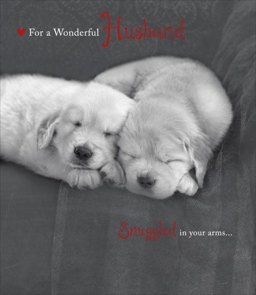 For My Wonderful Husband Cute Puppies Design Valentine's Day Card 