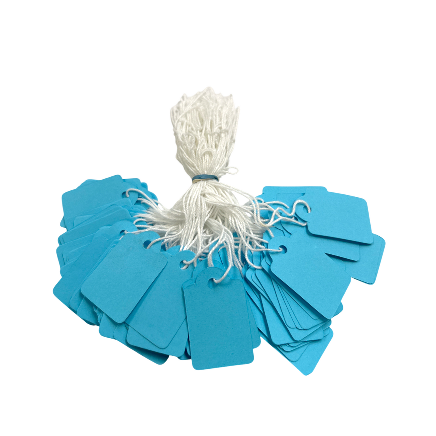 Pack of 4800 Medium Blue Strung Tags 25 x 39mm