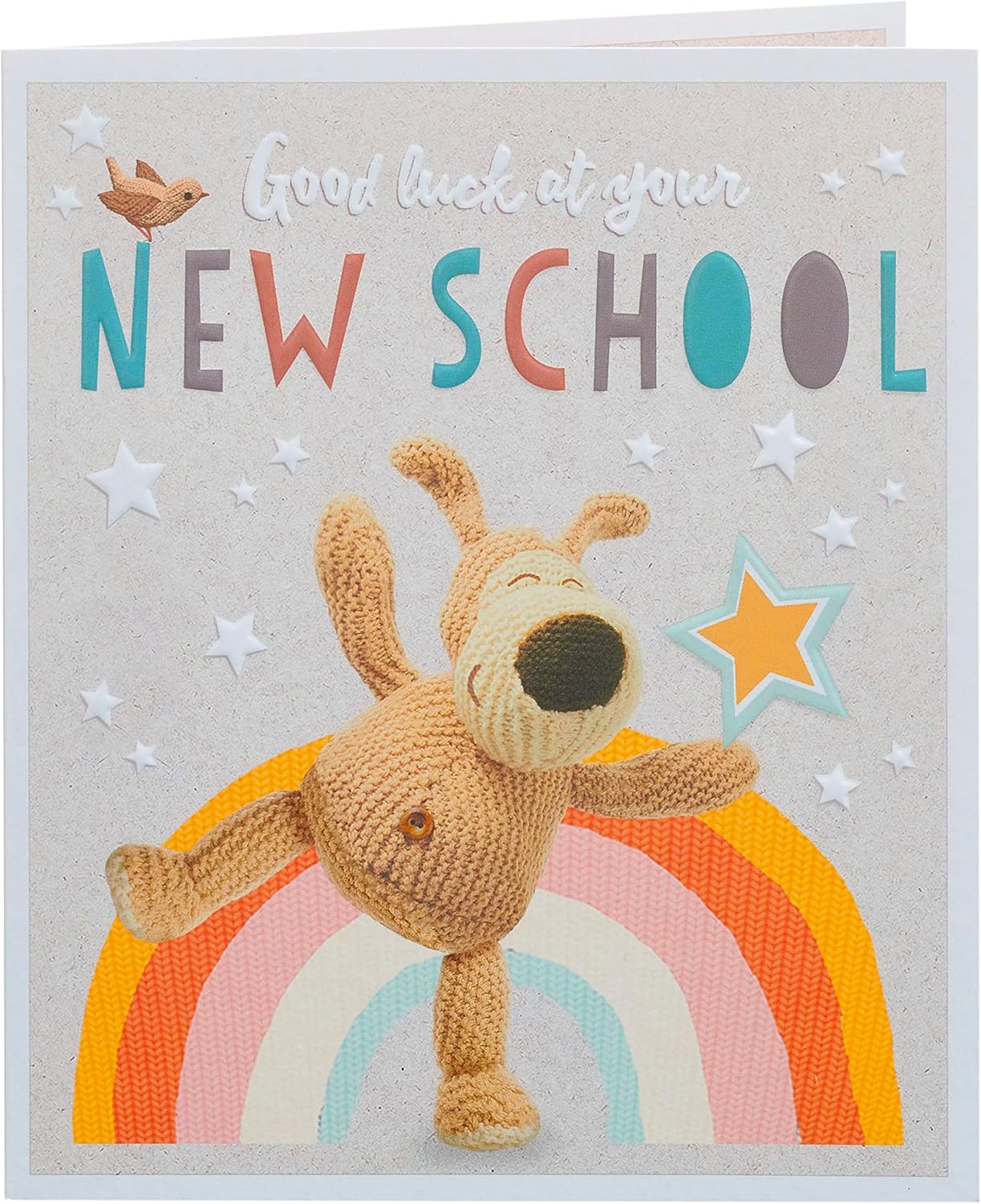 Boofle & Rainbow Good Luck At Your New School Card