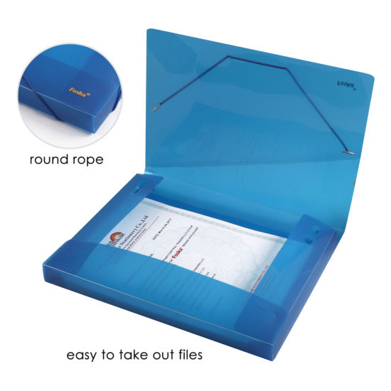 Pack of 12 A4 Coloured Translucent Box Files with Elastic Closure