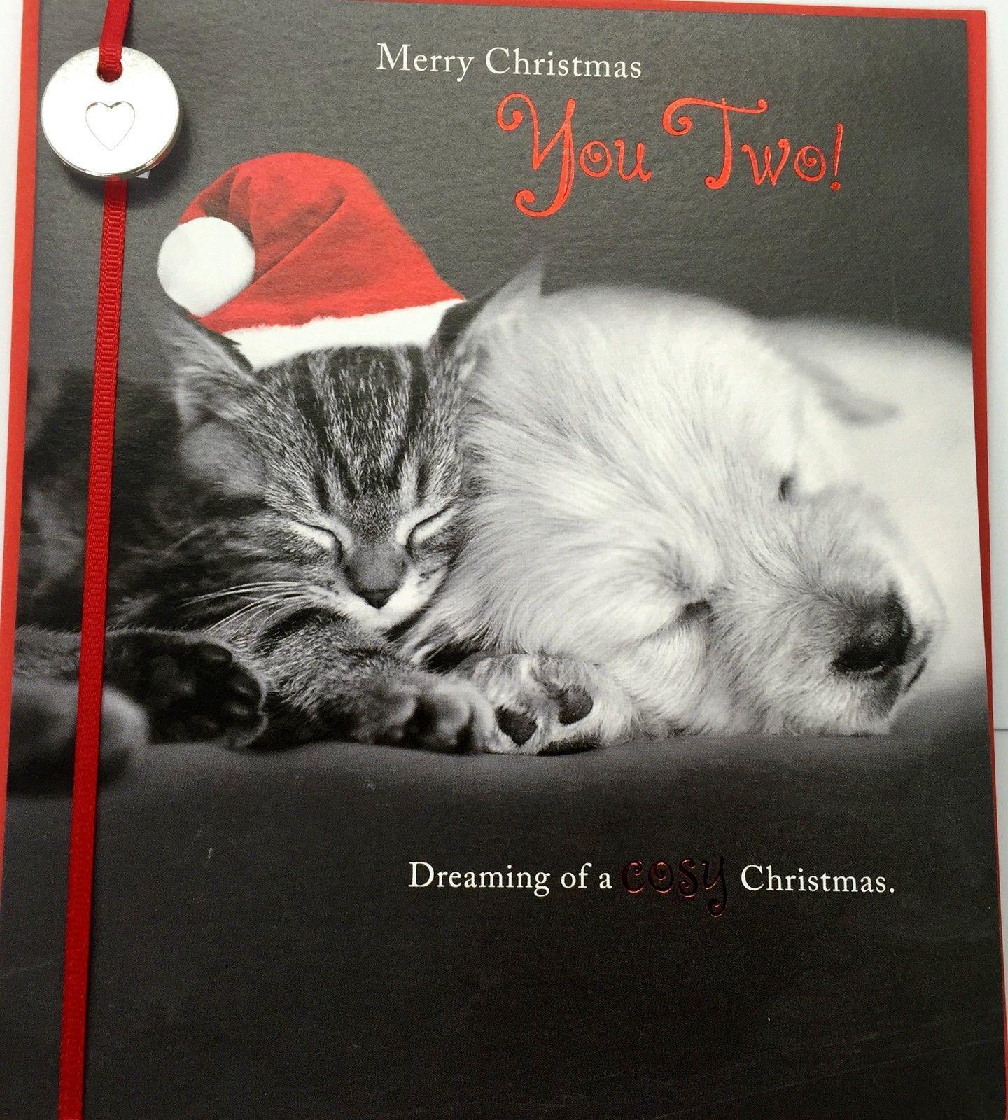 Both of You Santa Adorable Cat And Dog Couple Sleeping Christmas Card