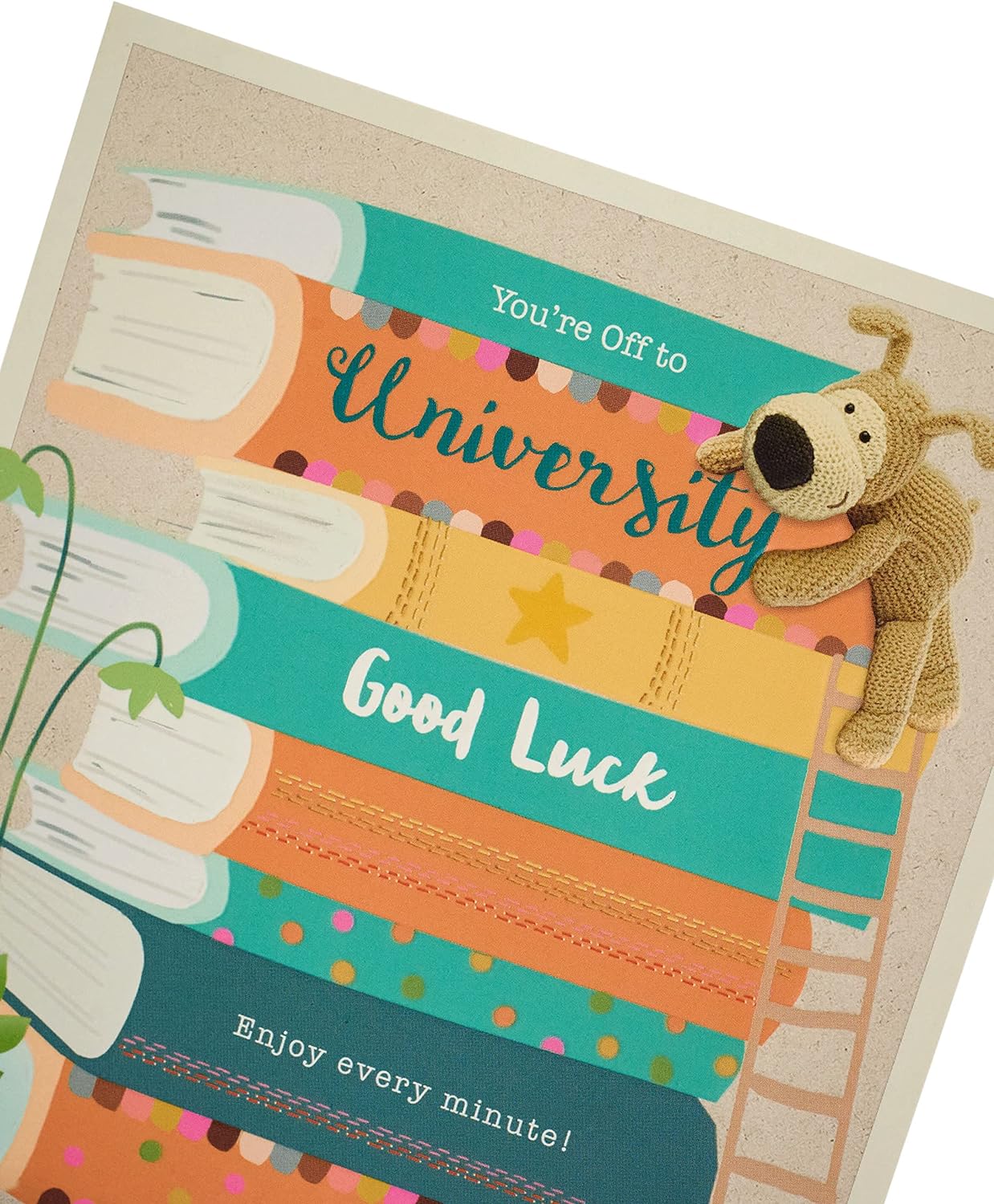 Boofle Good Luck at University Card