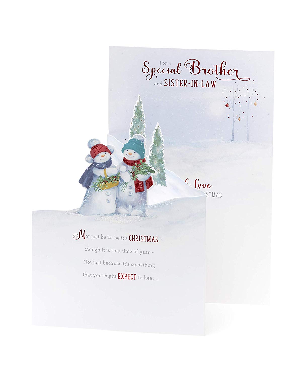 Brother and Sister-in-Law Christmas Card